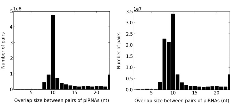 Fig. 2.—