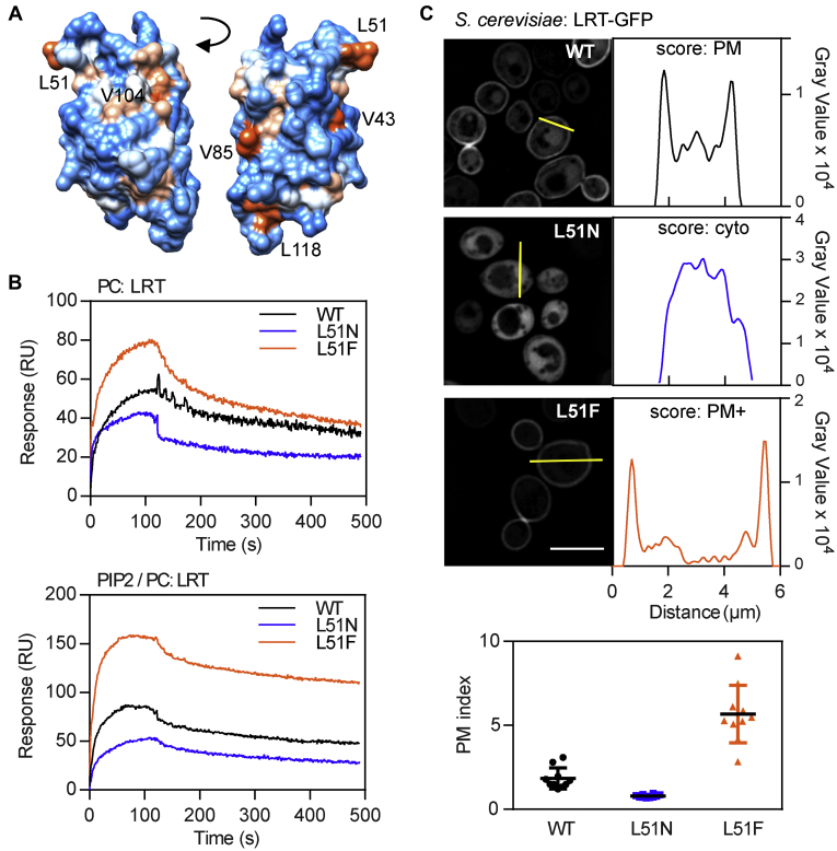 Figure 3