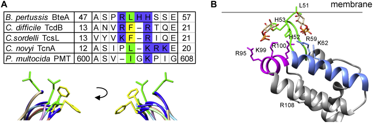 Figure 7