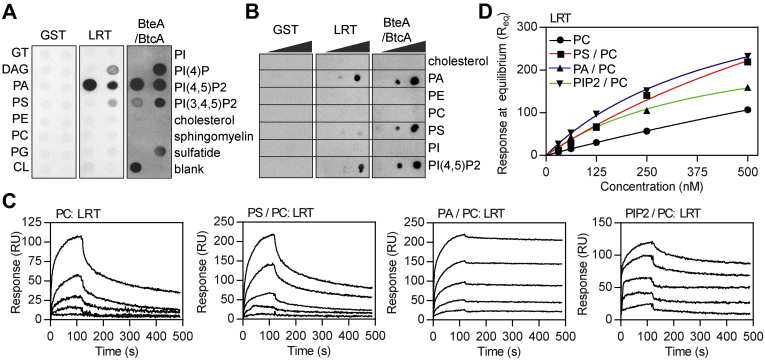 Figure 1