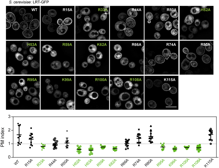 Figure 5