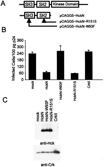 FIG. 1