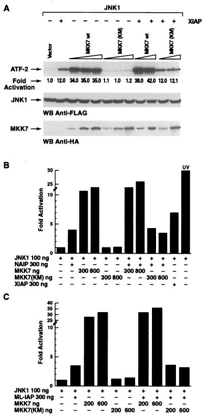 FIG. 3.