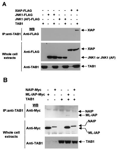 FIG. 7.