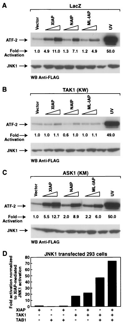 FIG. 4.