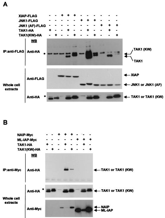 FIG. 5.