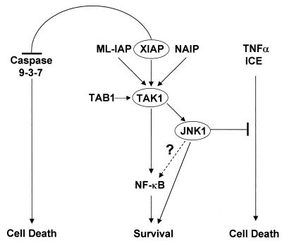 FIG. 10.