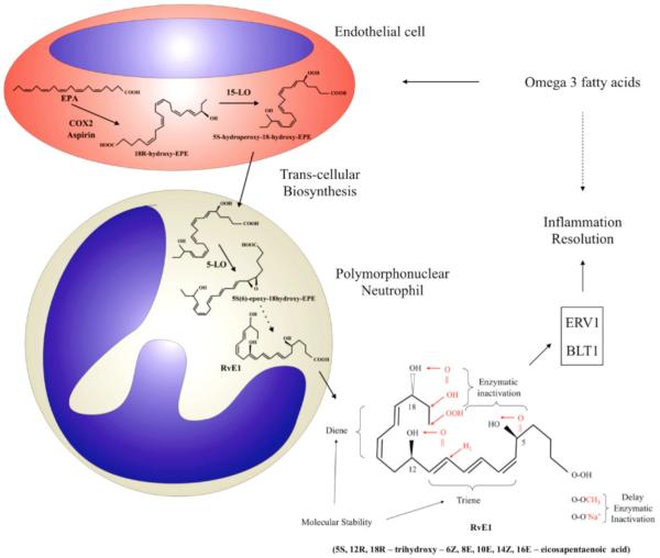 Fig. (7)