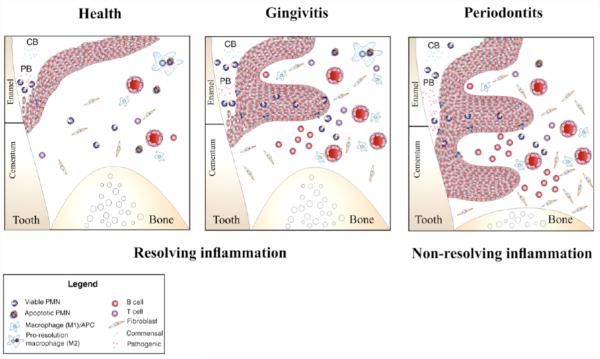 Fig. (4)