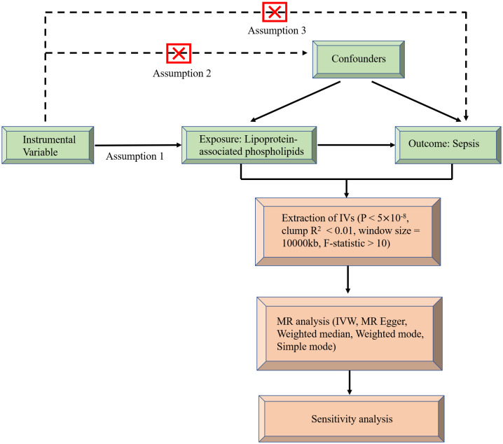 Figure 1