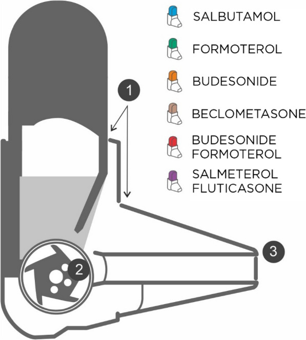 Fig. 1