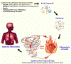Key Figure, Figure 3 |