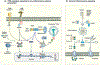 Figure 1 |