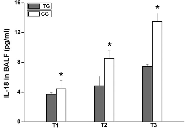 Figure 7.