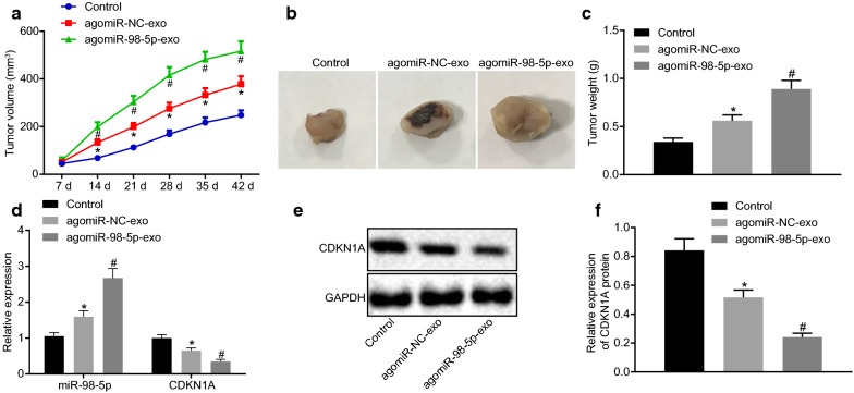 Fig. 6