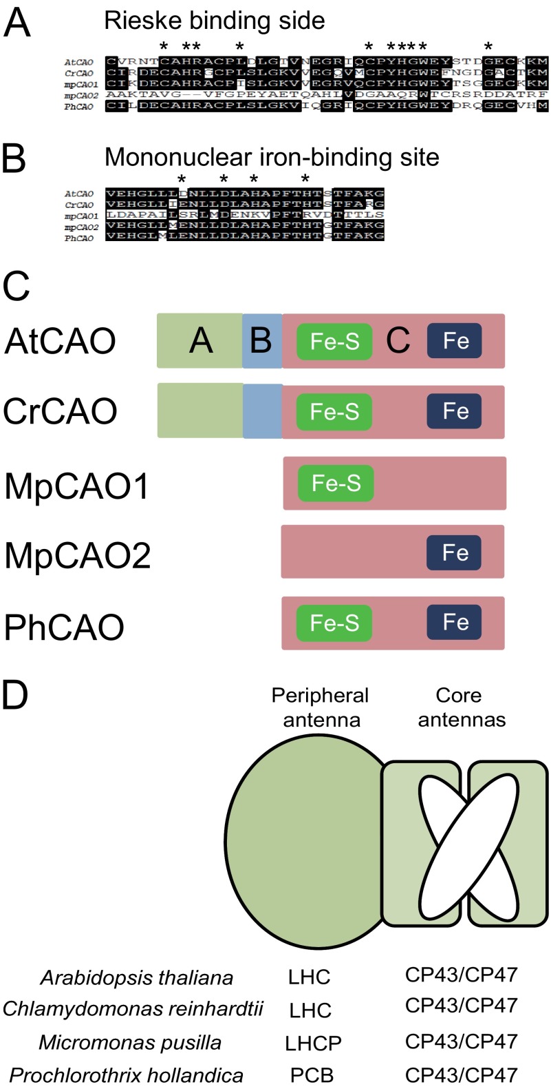 FIGURE 1.