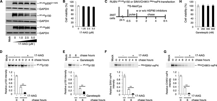 FIG 4