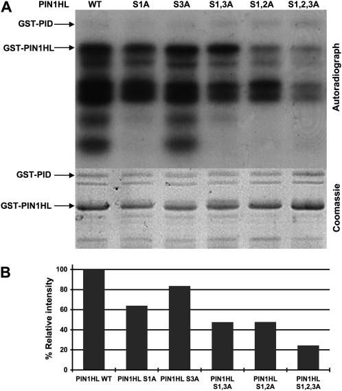 Figure 2.