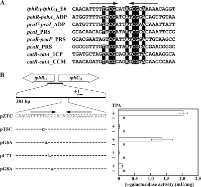 FIG. 6.