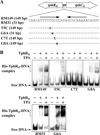 FIG. 7.