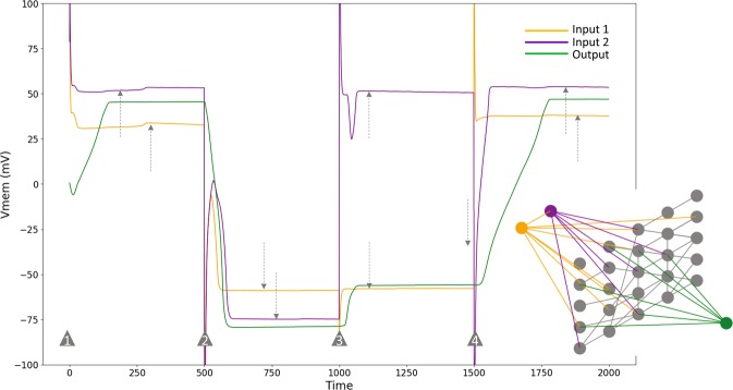 Figure 4