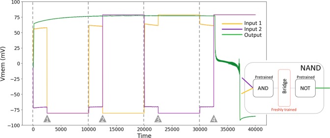 Figure 7