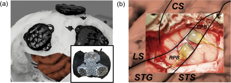 Fig. 7