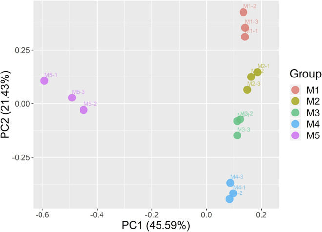 FIGURE 3