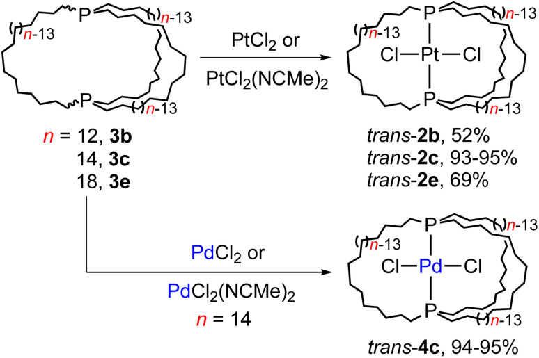 Scheme 4