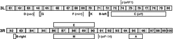 Figure 3.—