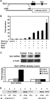 FIG. 1.