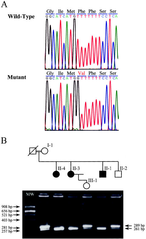 Figure  3