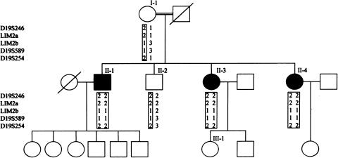 Figure  1