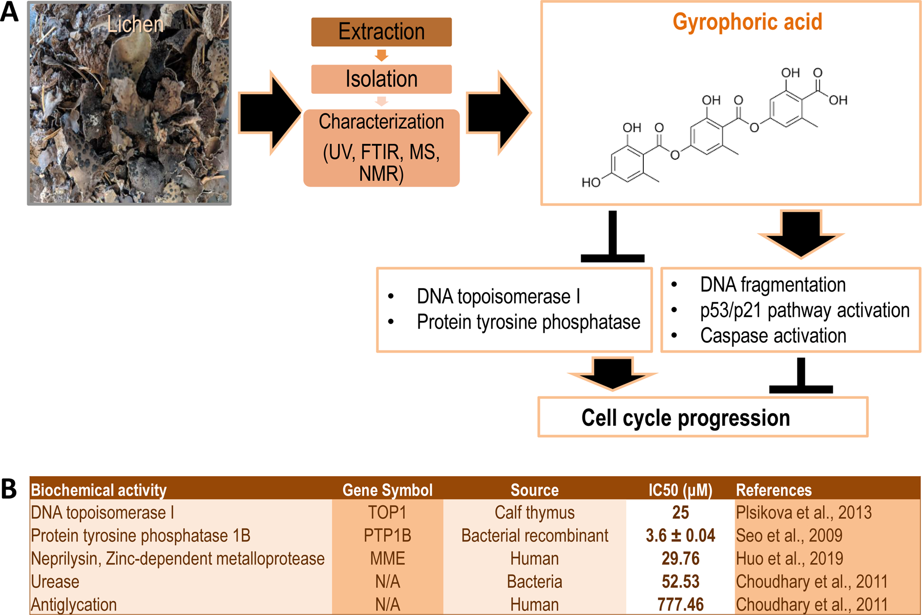 Figure 1: