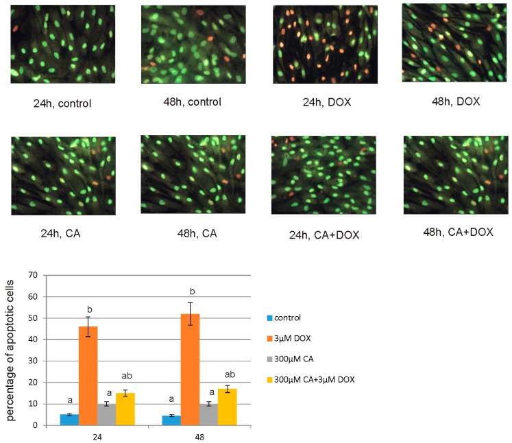 Figure 11