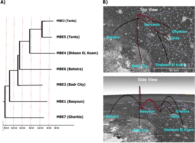 Figure 6