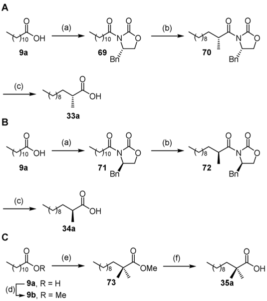 Scheme 4.