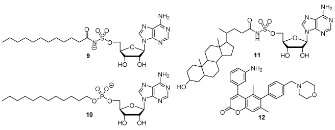 Fig. 3.