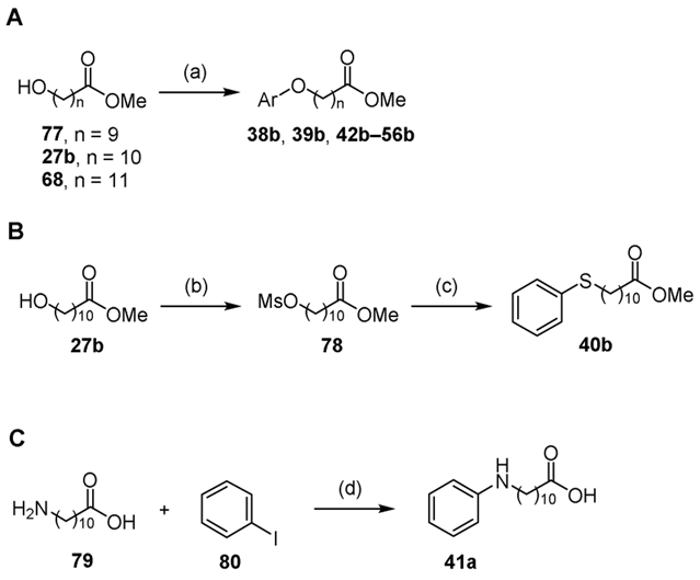 Scheme 6.