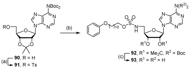 Scheme 9.