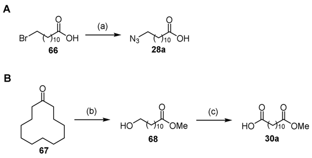 Scheme 3.