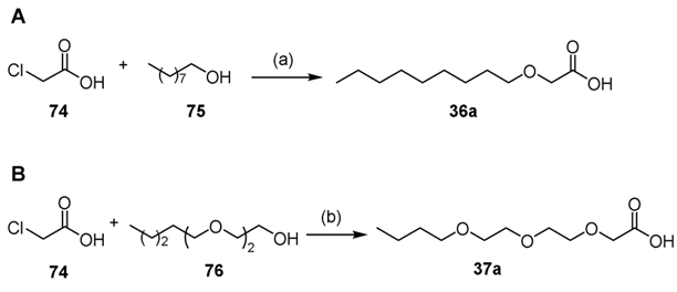 Scheme 5.