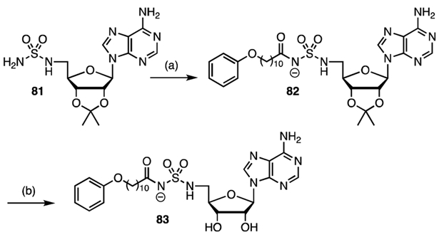 Scheme 7.