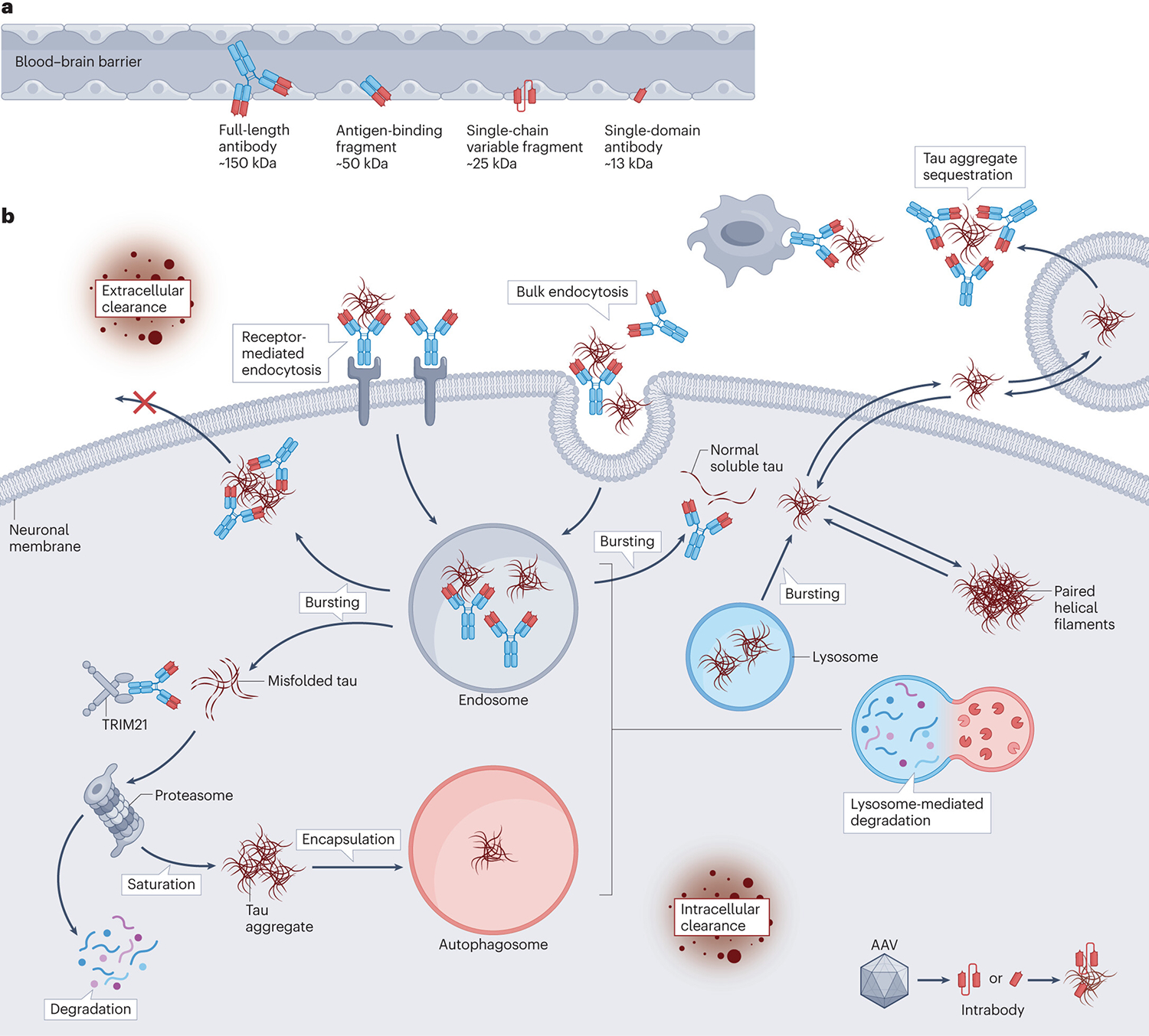 Figure 3 |