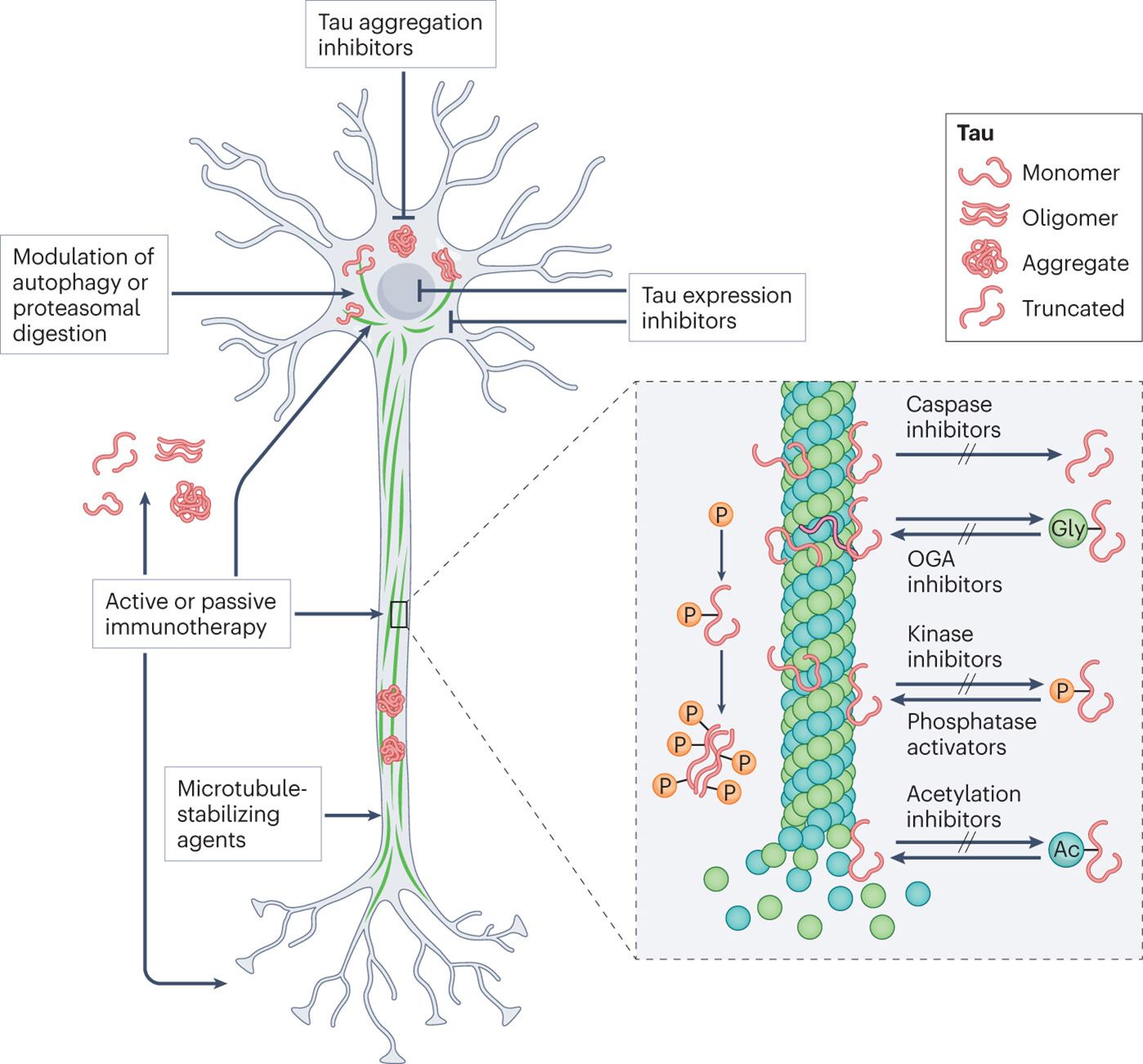 Figure 1 |