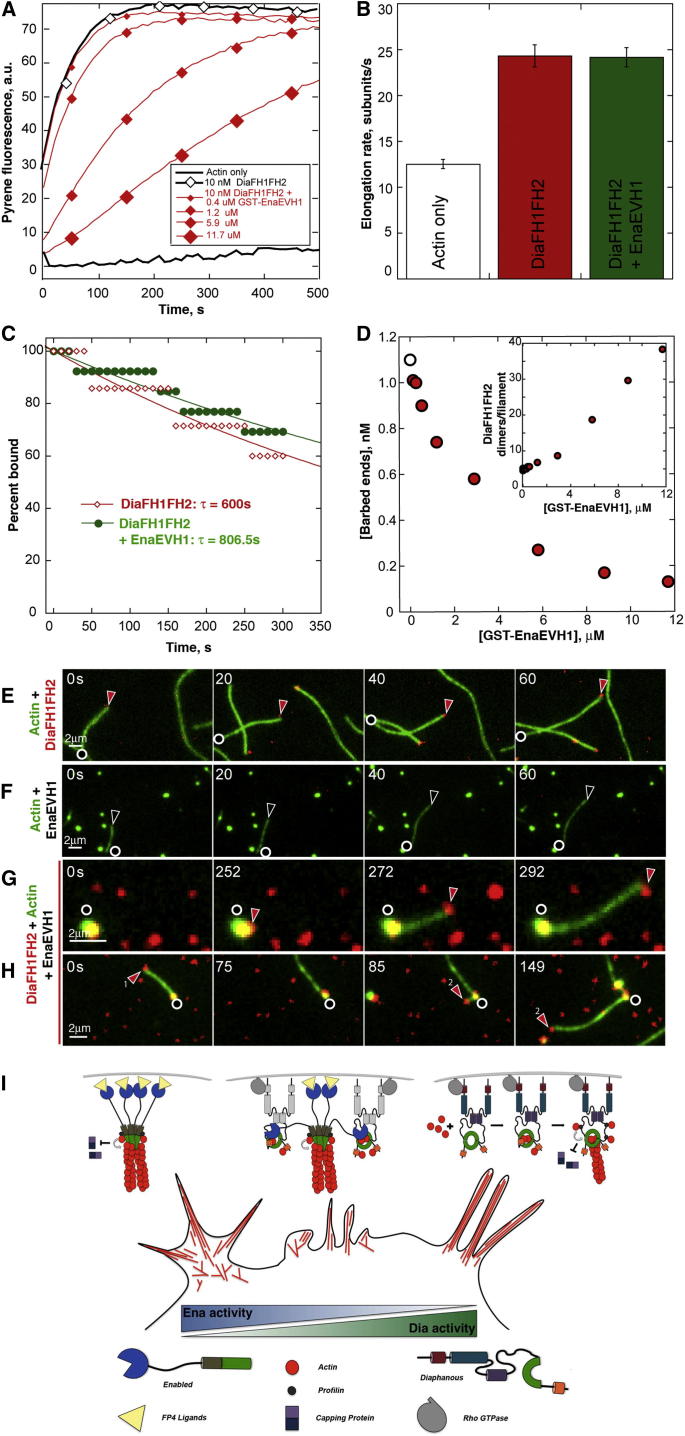 Figure 6