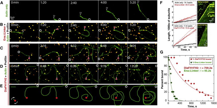 Figure 3