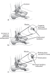 Fig. 10