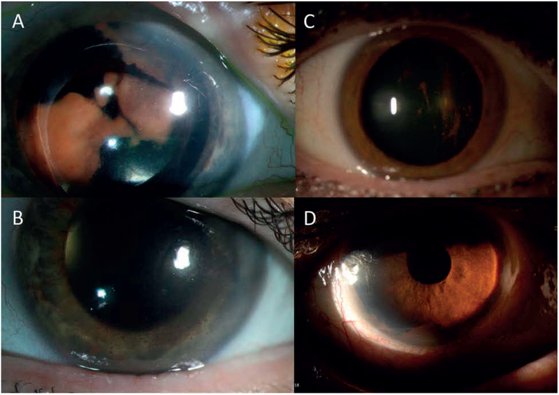 Figure 4: