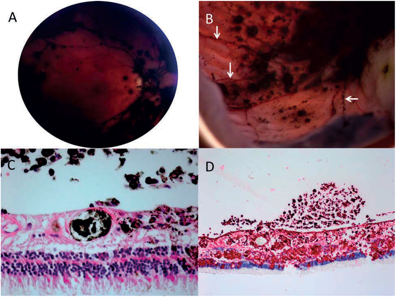 Figure 3: